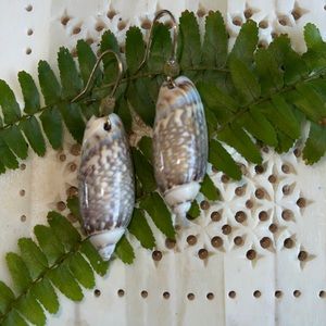 Whole shell earrings